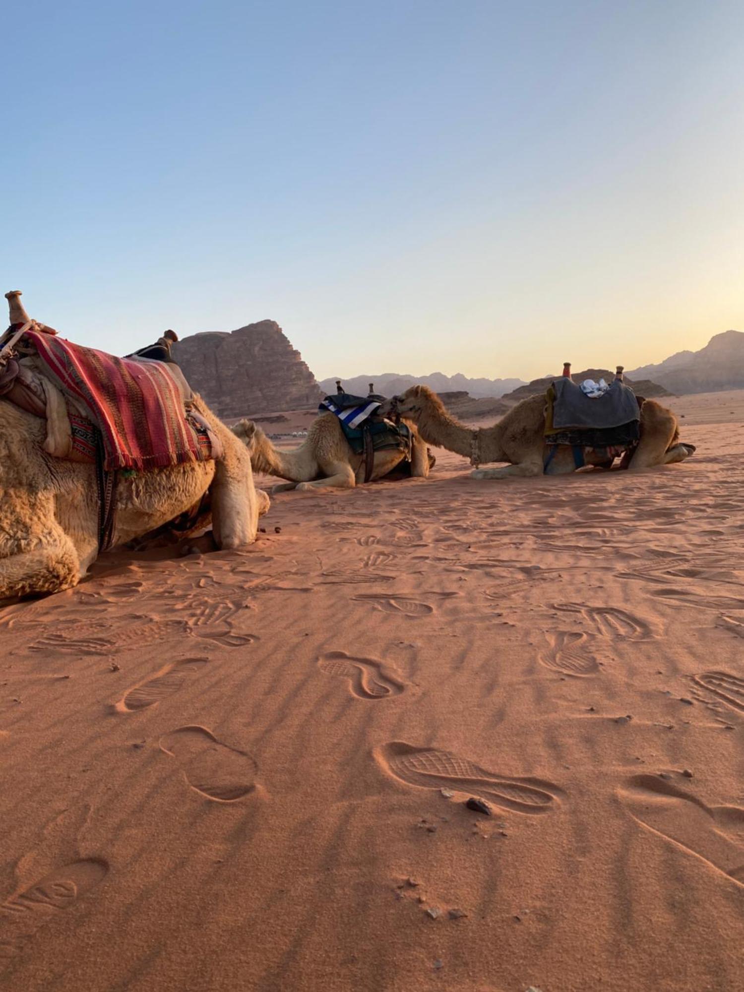 Flower Life Camp Wadi Rum Buitenkant foto